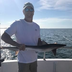 Meet your Posher, Mark